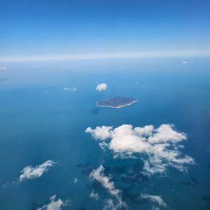 알로항 머니 80:1구매합니다