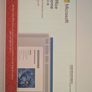 ms Microsoft office home 2024