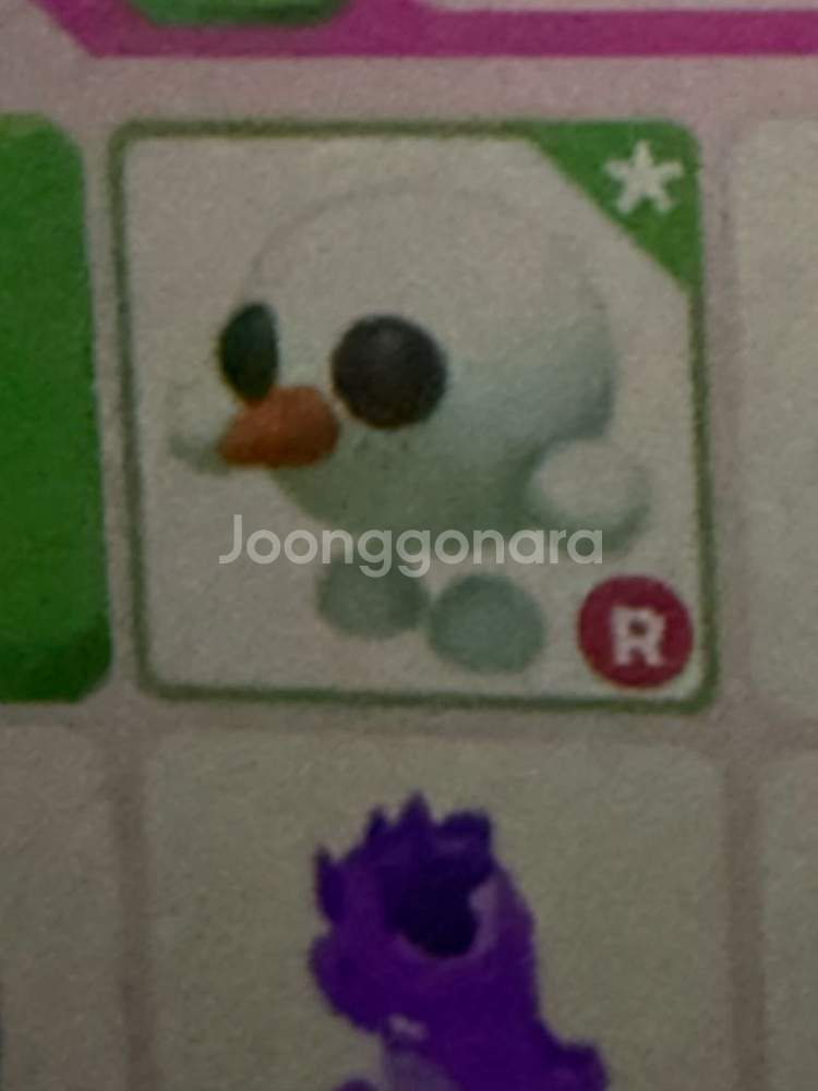 입양하세요 타는 스노볼펫--0