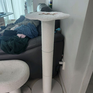고양이 스크래쳐