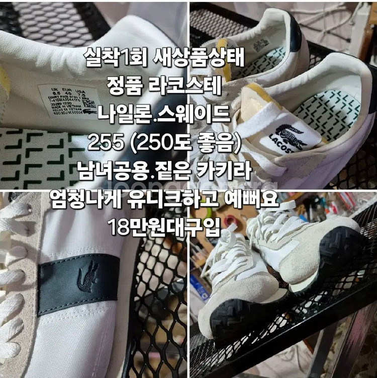 188,000구 s급 라코스테 255 정품 스니커즈--3