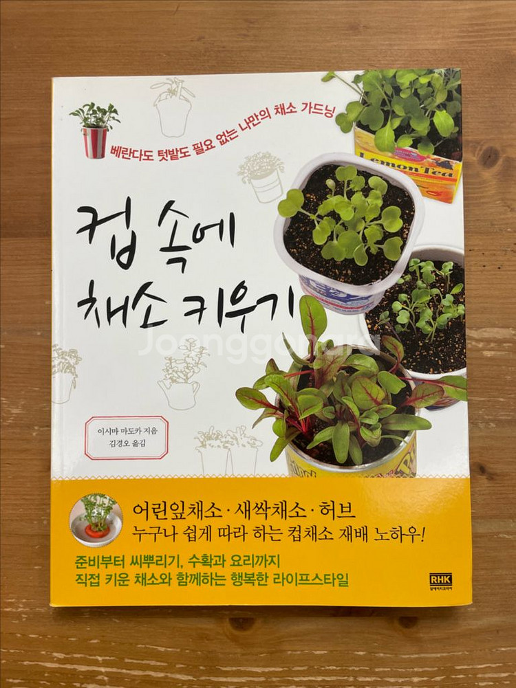 컵 속에 채소 키우기 - 이시마 마도카--0