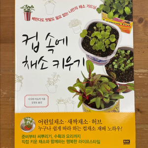 컵 속에 채소 키우기 - 이시마 마도카