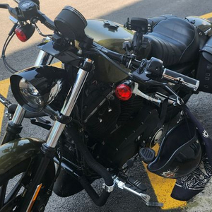 할리데이비슨 아이언883