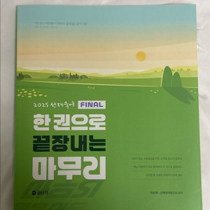 2025 선재국어 마무리(반택포)