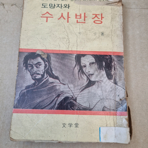 도망자와 수사반장 책