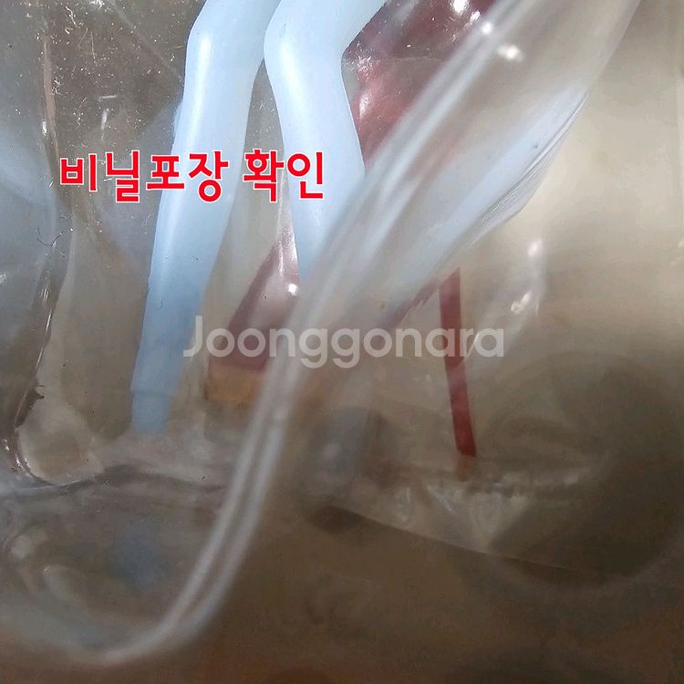 에반게리온 릴리스 가프의 문 피규어(무배)--5
