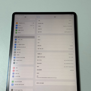 아이패드 프로 12.9 셀룰러 128g