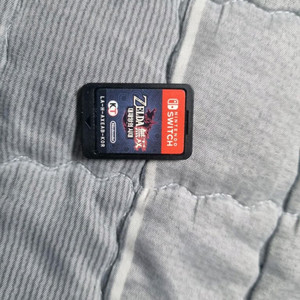 닌텐도 스위치 젤다 칩