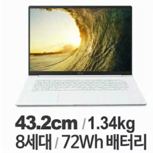 LG 그램 17인치 [17Z990 i7]