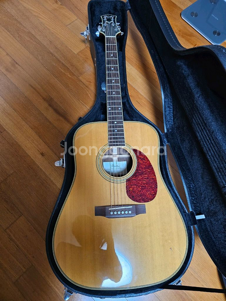피어리스 Peerless PD-60 기타--1