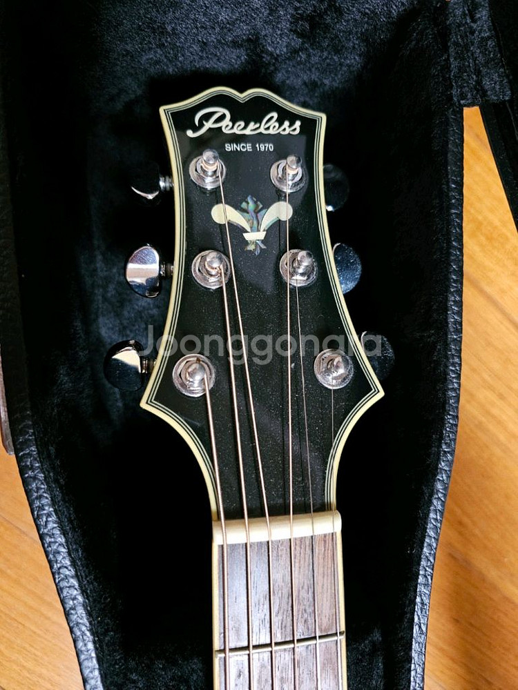 피어리스 Peerless PD-60 기타--0