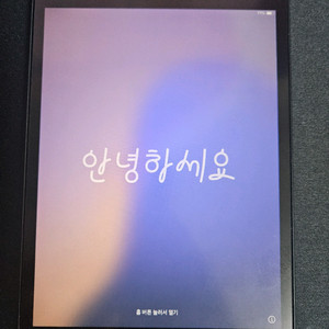 아이패드 미니 5세대 256, 스페이스그레이