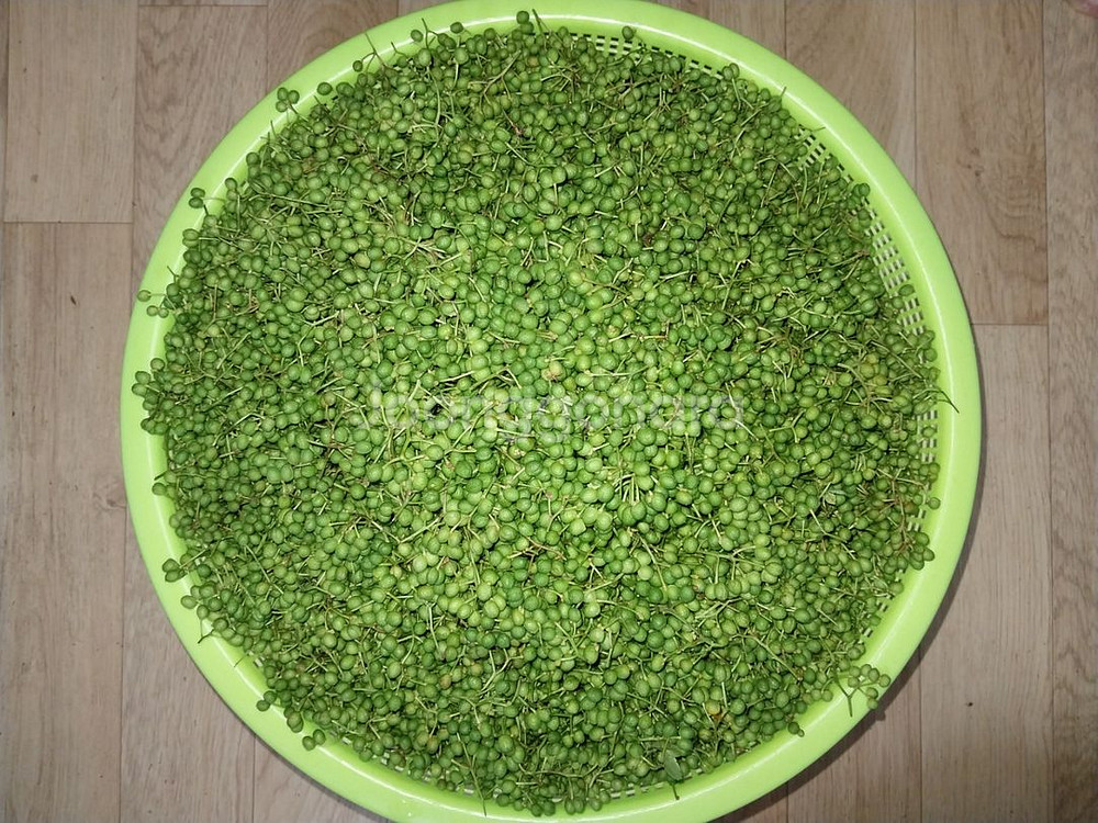 제피, 초피 (건조 200g)--2