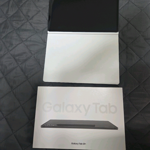 갤럭시탭s9플러스 s급 + 정품케이스