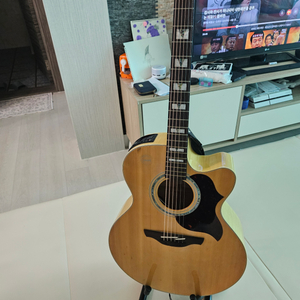 Takamine EG523SC 기타