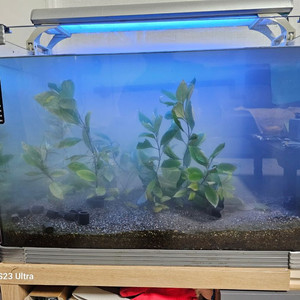 어항 수원 입니다.