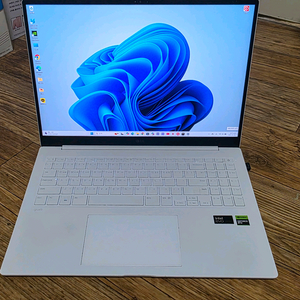 LG gram pro 24년 rtx 3050