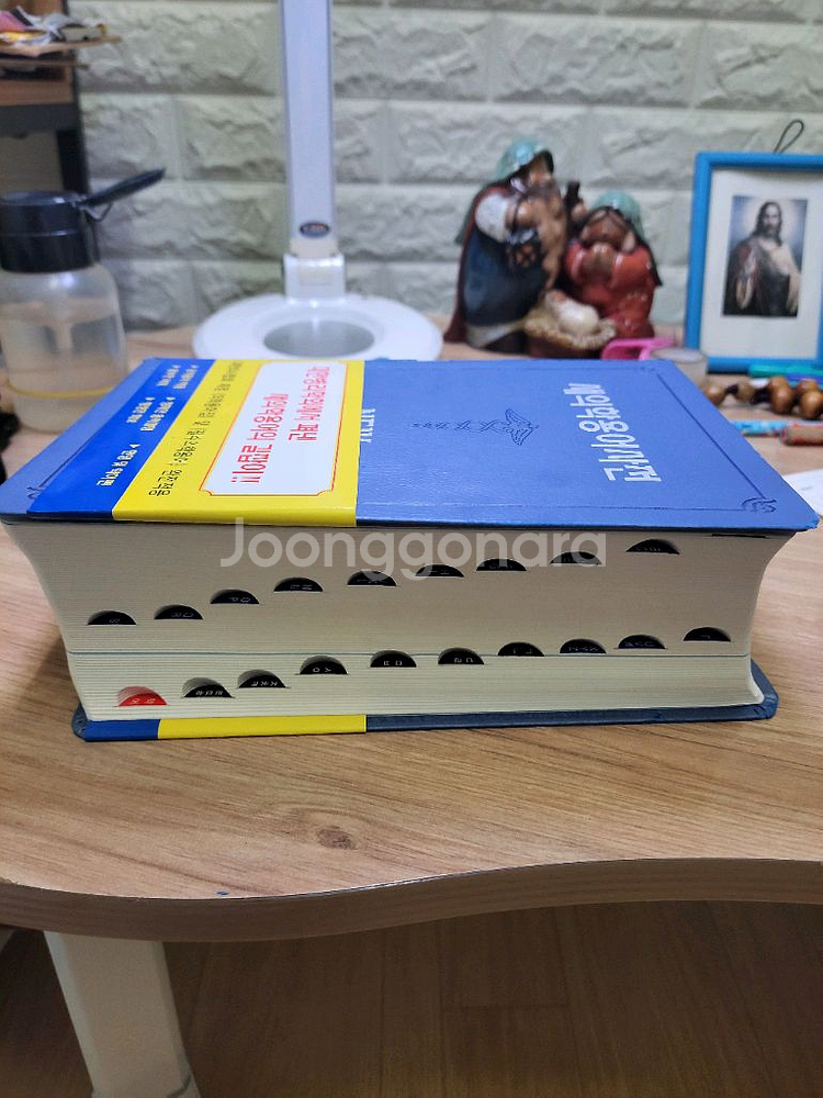 새의학용어사전--6