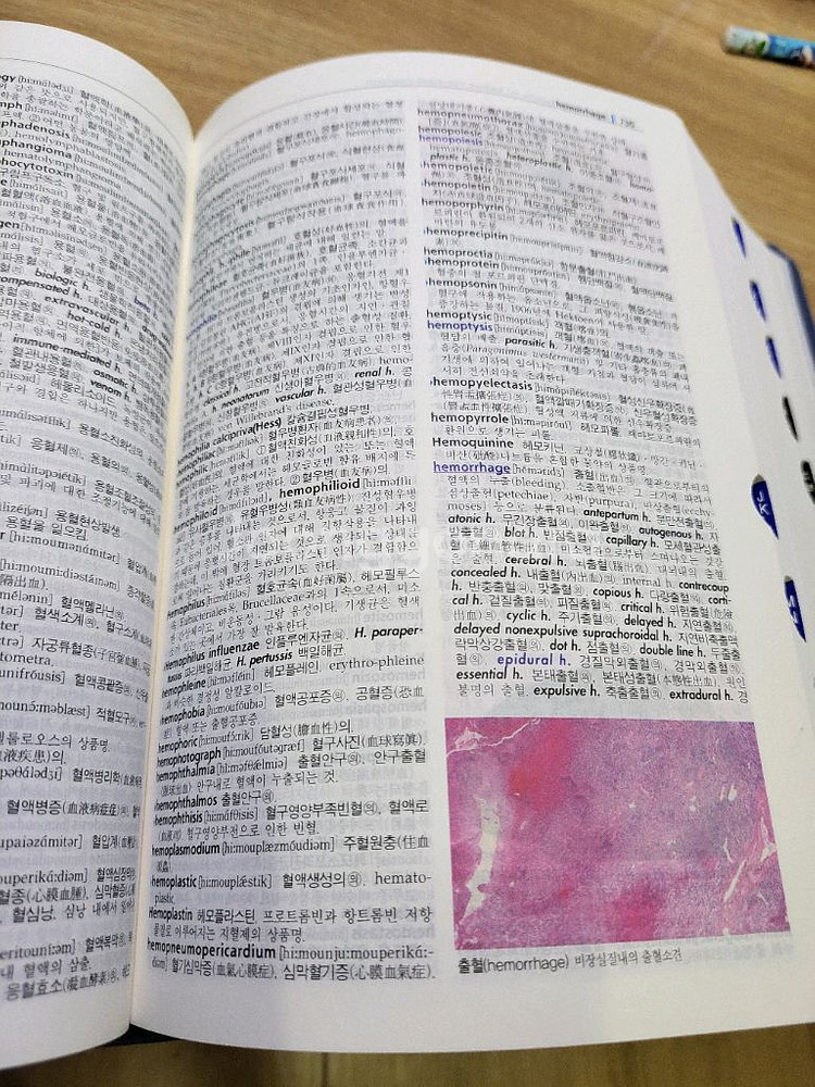 새의학용어사전--9