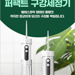 이플리토 구강세정기 공동구매