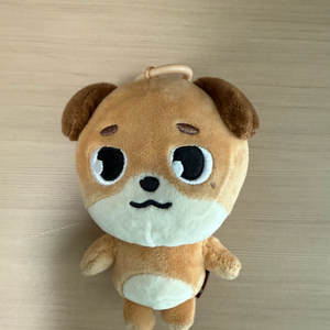 데이식스 데니멀즈 24돈 판매해요