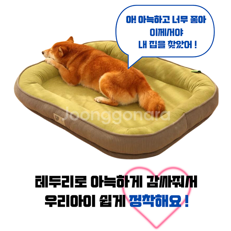 펫앤마마 반려동물 꿀잠방석--3