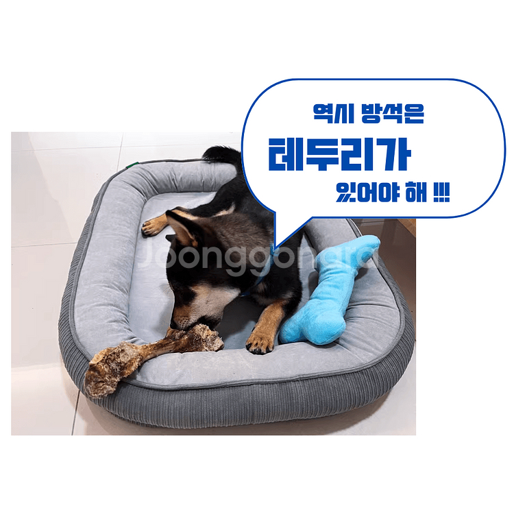 펫앤마마 반려동물 꿀잠방석--8