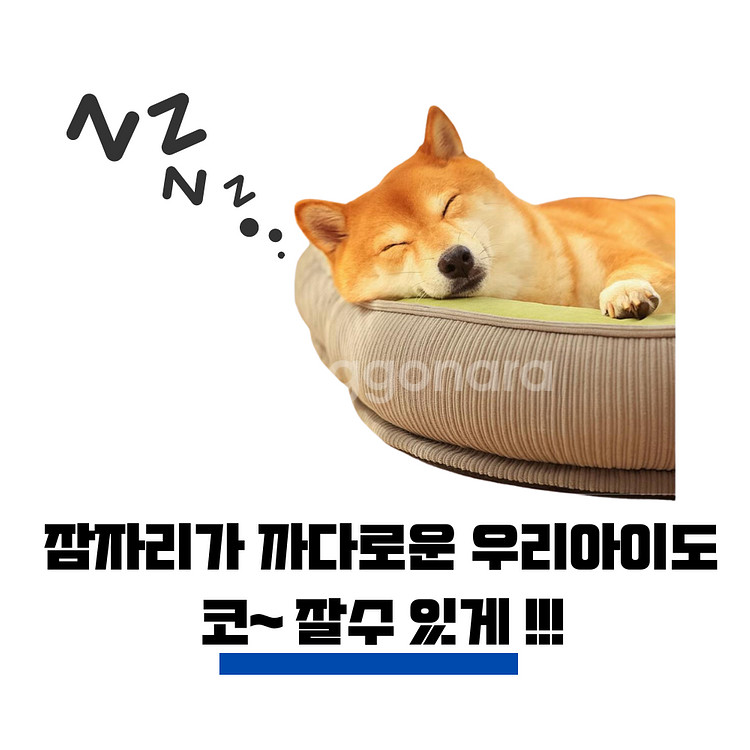 펫앤마마 반려동물 꿀잠방석--5