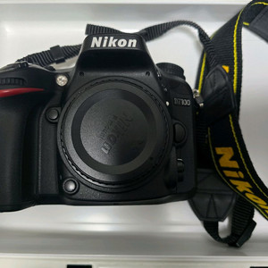 니콘 D7100 카메라 + 렌즈