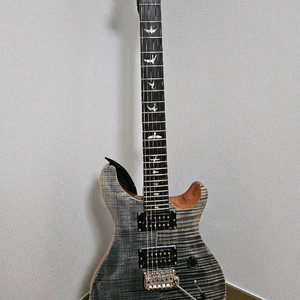 prs se custom 일렉기타