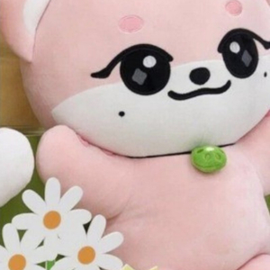[구매] 아이브 미니브 메가쿠션 이랑이 이서 구합니다