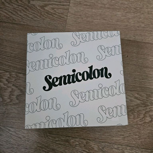 세븐틴 스페셜 앨범 Semicolon