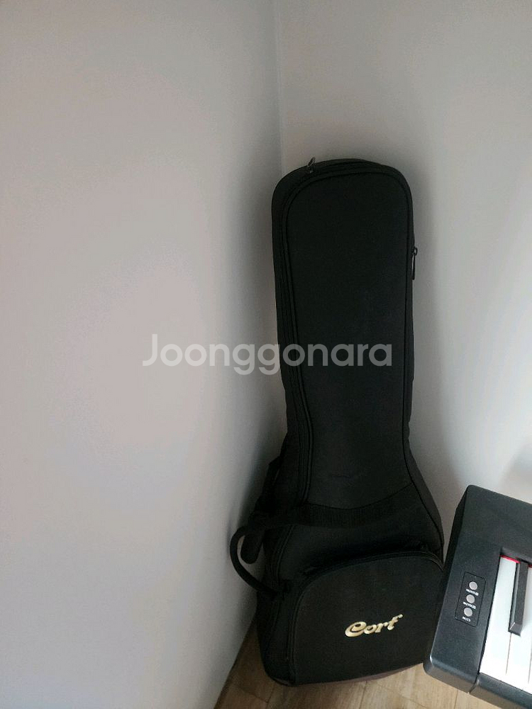 콜트 AF510 기타팝니다(급처)--0