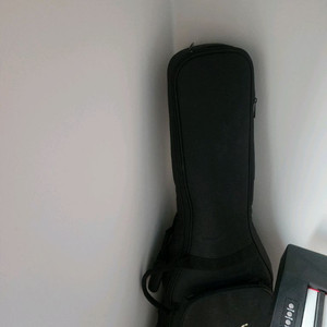 콜트 AF510 기타팝니다(급처)