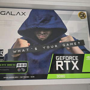 갤럭시 RTX 3080 10GB