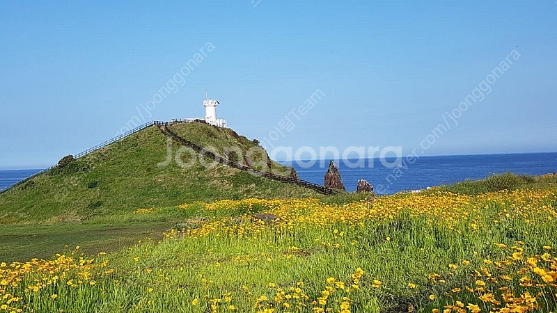 [매진 항공권 대행] 김포제주 항공권 구해드립니다--2