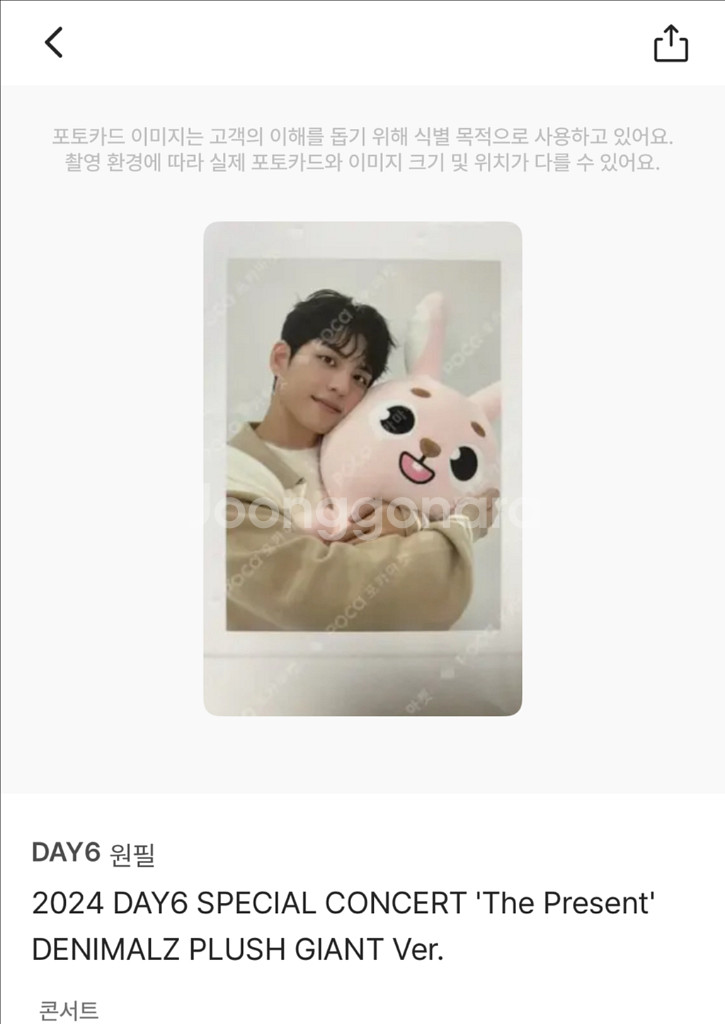 데니멀즈 폴라로이드 원필--0