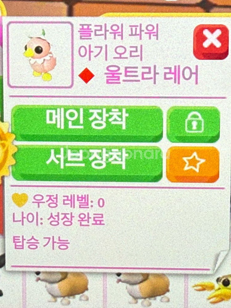 입양하세요 타는 플라워 아기 오리--0
