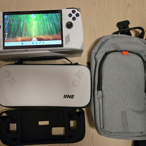 ROG 로갈리 1TB 정발 박스풀 팝니다