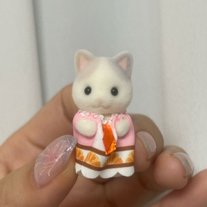 실바니안 라떼 신생아 고양이
