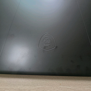 MSI SWORD GF76 B13VFK 램ssd업글