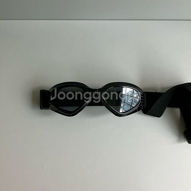 반려견 강아지 선글라스와 고글 일괄--3