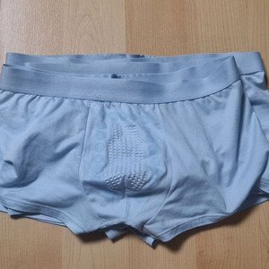 팬티