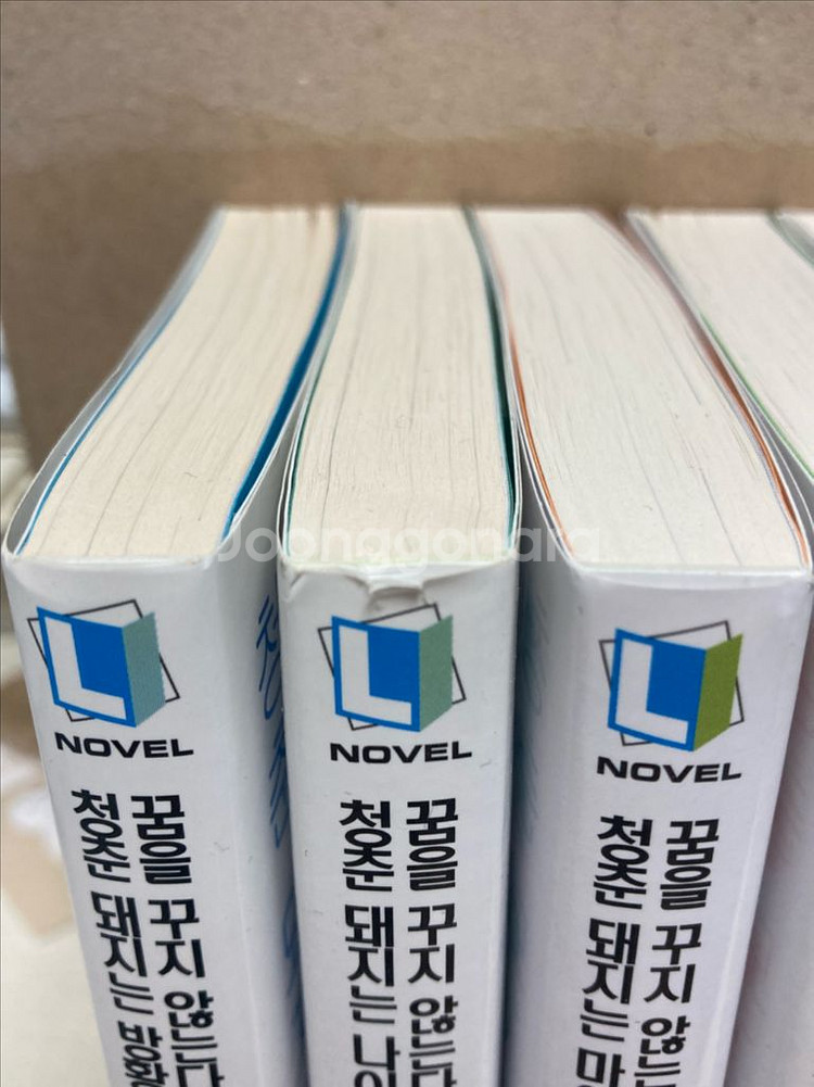 청춘 돼지 시리즈 초판 10~15권--1