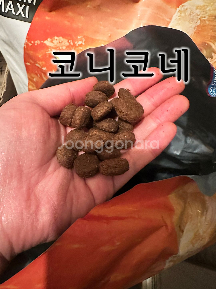 파미나 강아지사료 N&D Dog그레인프리 펌프킨 닭고기--5