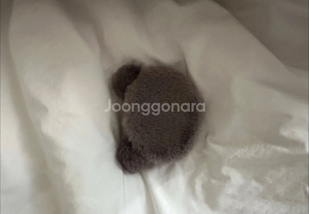 코일라 손거울--1