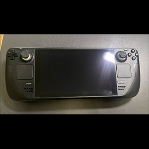 스팀덱 258g