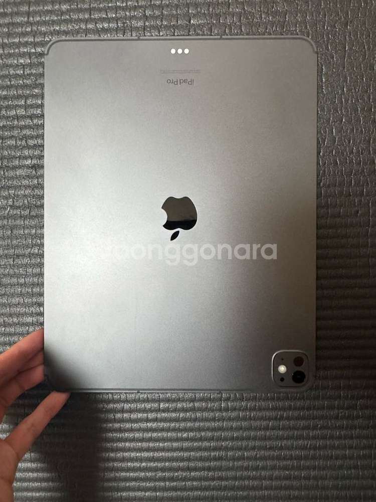 아이패드 프로 13 m4 512gb 셀룰러--4