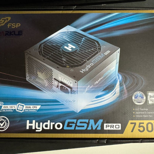 FSP hydrp GSM pro 750W 골드 파워